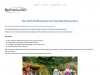 bachtelsurfer.ch Webseite Vorschau